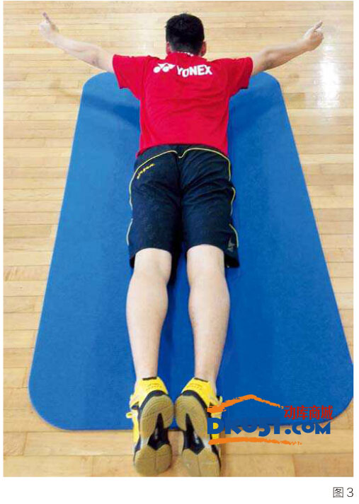 羽毛球知识：预防腰背伤病的良方---俯卧“Y”练习